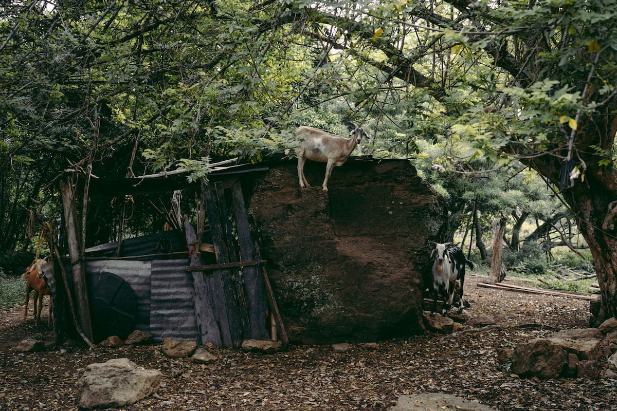 ‘Un campo azotado’, la exposición de Isabella Arenas. Foto suministrada/VANGUARDIA