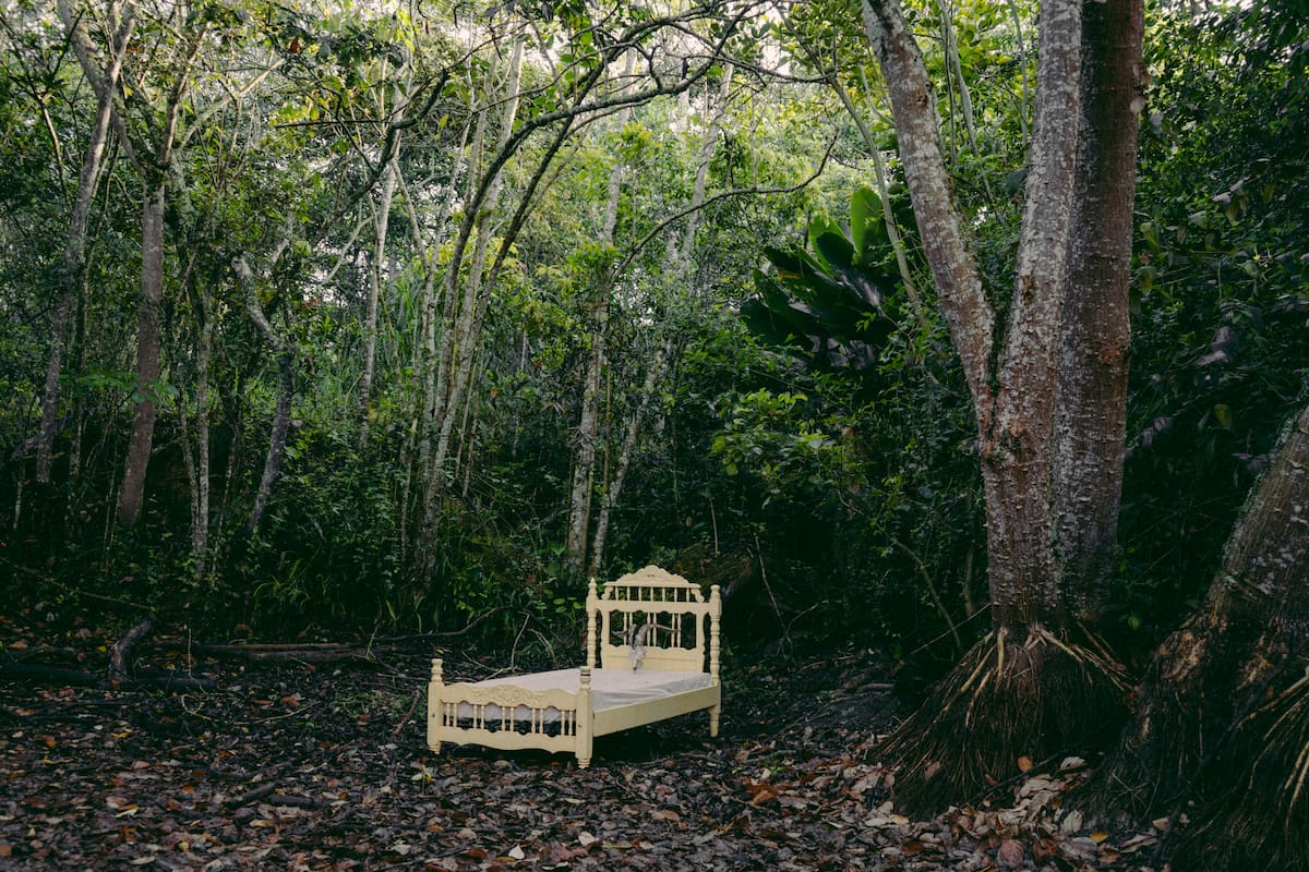 ‘Un campo azotado’, la exposición de Isabella Arenas. Foto suministrada/VANGUARDIA