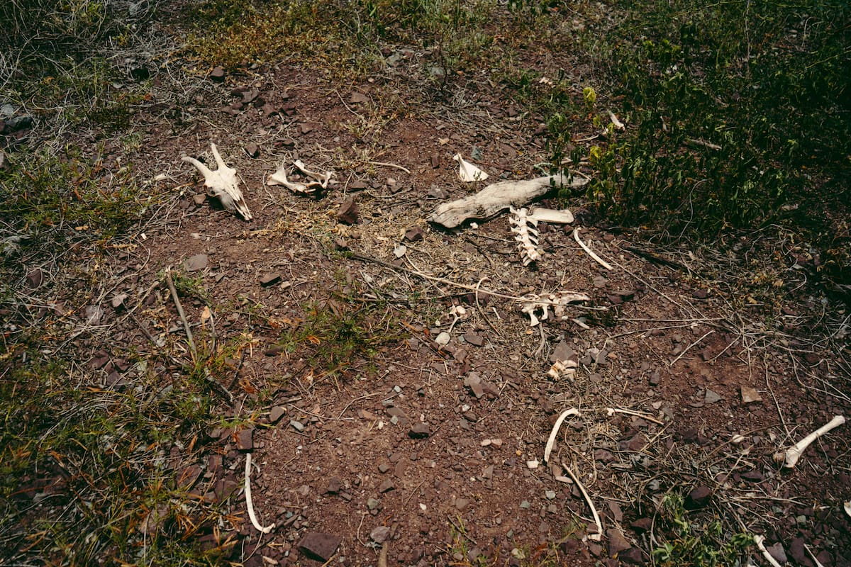 ‘Un campo azotado’, la exposición de Isabella Arenas. Foto suministrada/VANGUARDIA