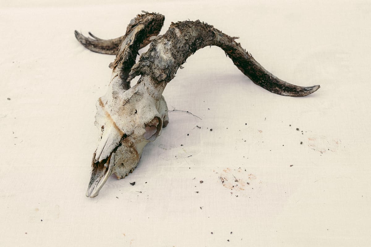 ‘Un campo azotado’, la exposición de Isabella Arenas. Foto suministrada/VANGUARDIA