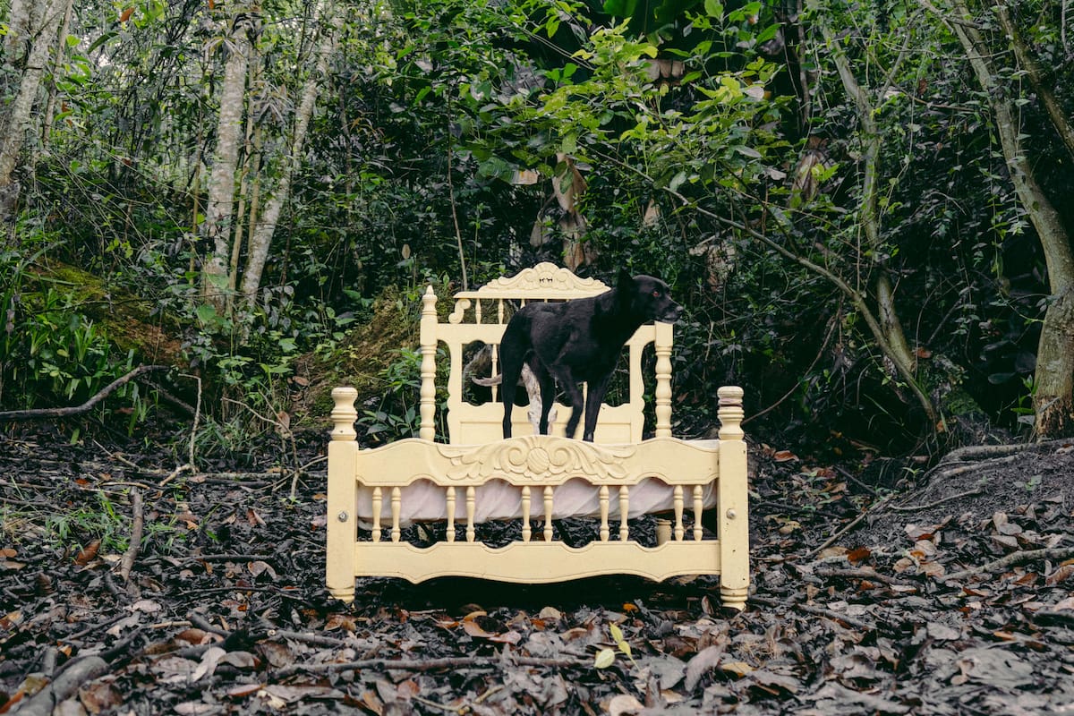 ‘Un campo azotado’, la exposición de Isabella Arenas. Foto suministrada/VANGUARDIA