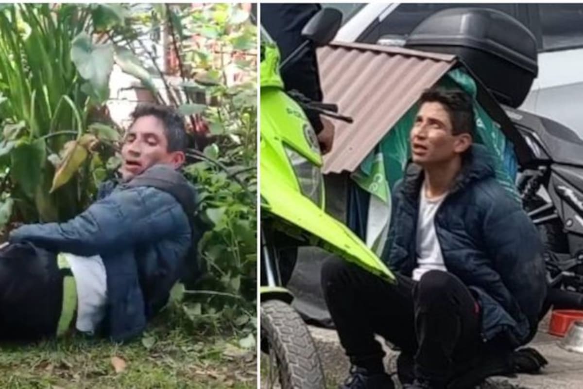 Un hombre que se identificó como 'therian-rata' fue capturado por robar en Bogotá y suscitó burlas en redes sociales.