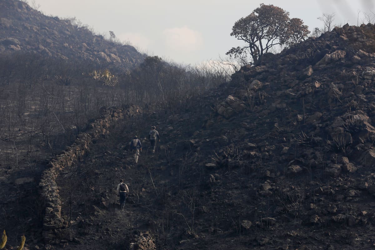 Zona afectada por un incendio forestal que ha consumido aproximadamente 100 hectáreas de vegetación en Villa de Leyva.
Foto: EFE.