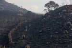 Incendio forestal en Villa de Leyva ya consume cerca de 300 hectáreas y sigue activo