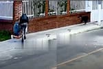 Un perro se enfrentó a un ladrón armado y evitó un robo en el sur de Bogotá