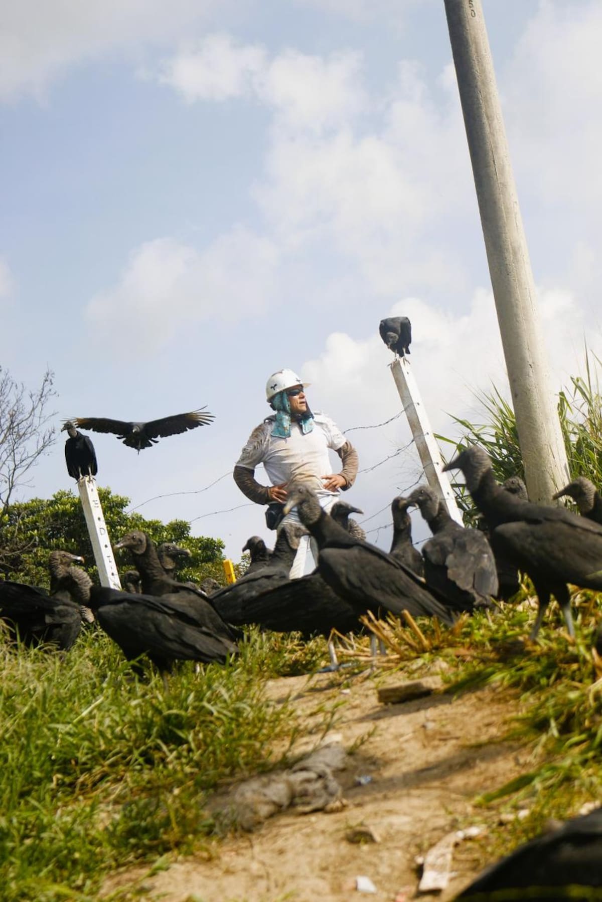 Marco Pirulais, conocido como “Chulomán”, lleva cinco años alimentando gallinazos diariamente. Foto: Felipe Jaimes/VANGUARDIA
