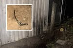Investigan ataque con explosivos a las afueras de la Cárcel de Mujeres de Bucaramanga