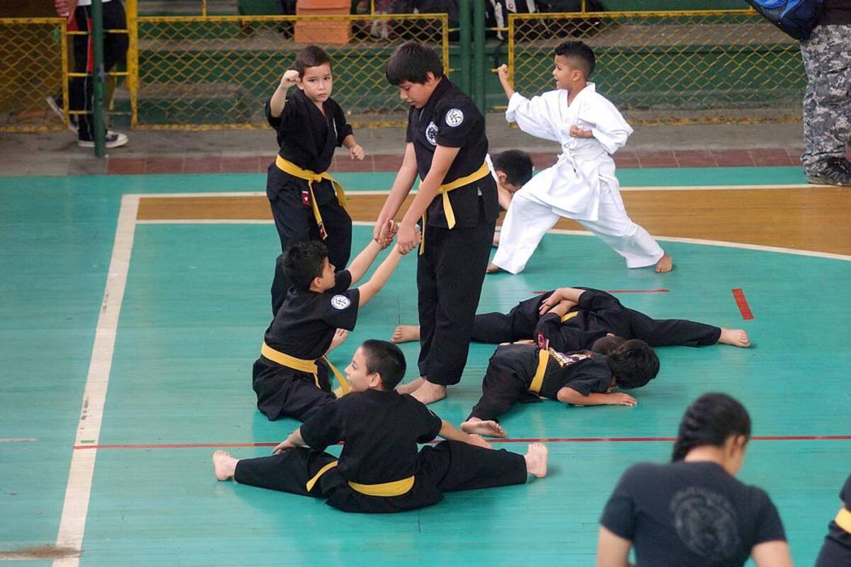 Las artes marciales se tomarán este domingo el coliseo Edmundo Luna Santos de Bucaramanga, con motivo del Séptimo Open Internacional, el Desafío X-Tremo. (Foto: Archivo VANGUARDIA LIBERAL)
