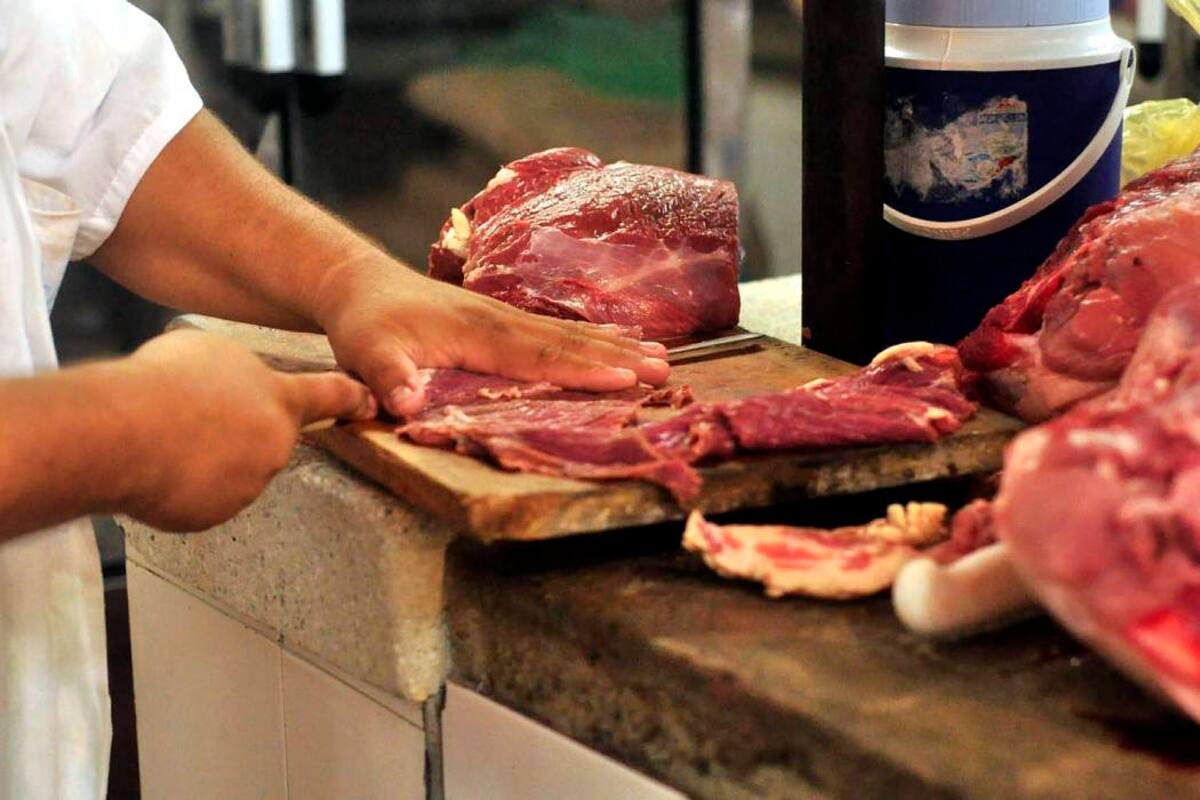 El caso fue dado a conocer por Vanguardia a las autoridades de saneamiento en San Gil, quienes manifestaron que harán una visita de control a la planta de beneficio animal sangileña (Foto: Archivo / VANGUARDIA LIBERAL)