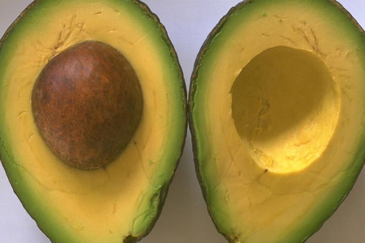 La incidencia de hongos en el aguacate criollo, una fruta de consumo y producción tradicional en Santander, son cada vez mayores, lo que pone en riego la cosecha de esa apetecida fruta.