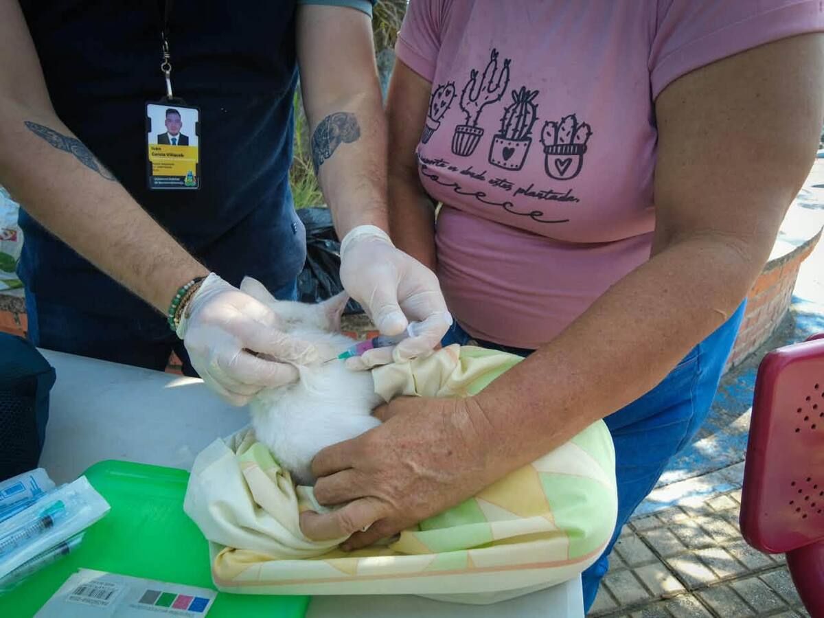Las jornadas de vacunación antirrábica se realizarán en canchas y parques de distintos barrios de Barrancabermeja, entre las 9:00 a. m. y las 12:00 m.
Suministrada/Vanguardia