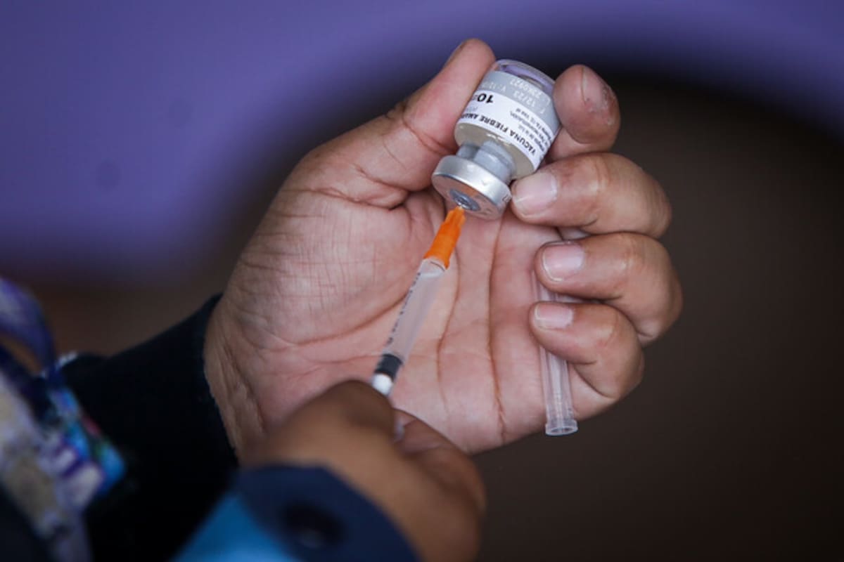 Recomienda vacunación contra la fiebre amarilla en Colombia. // Foto: Colprensa