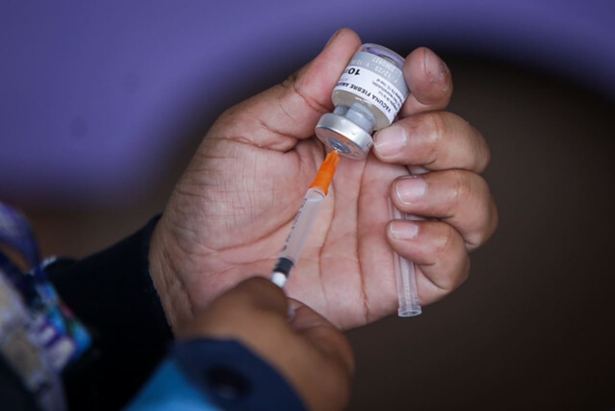 Recomienda vacunación contra la fiebre amarilla en Colombia. // Foto: Colprensa
