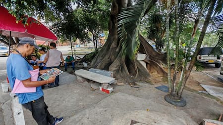Vanguardia en los barrios: Denuncian invasión de espacio público en barrio Bolívar