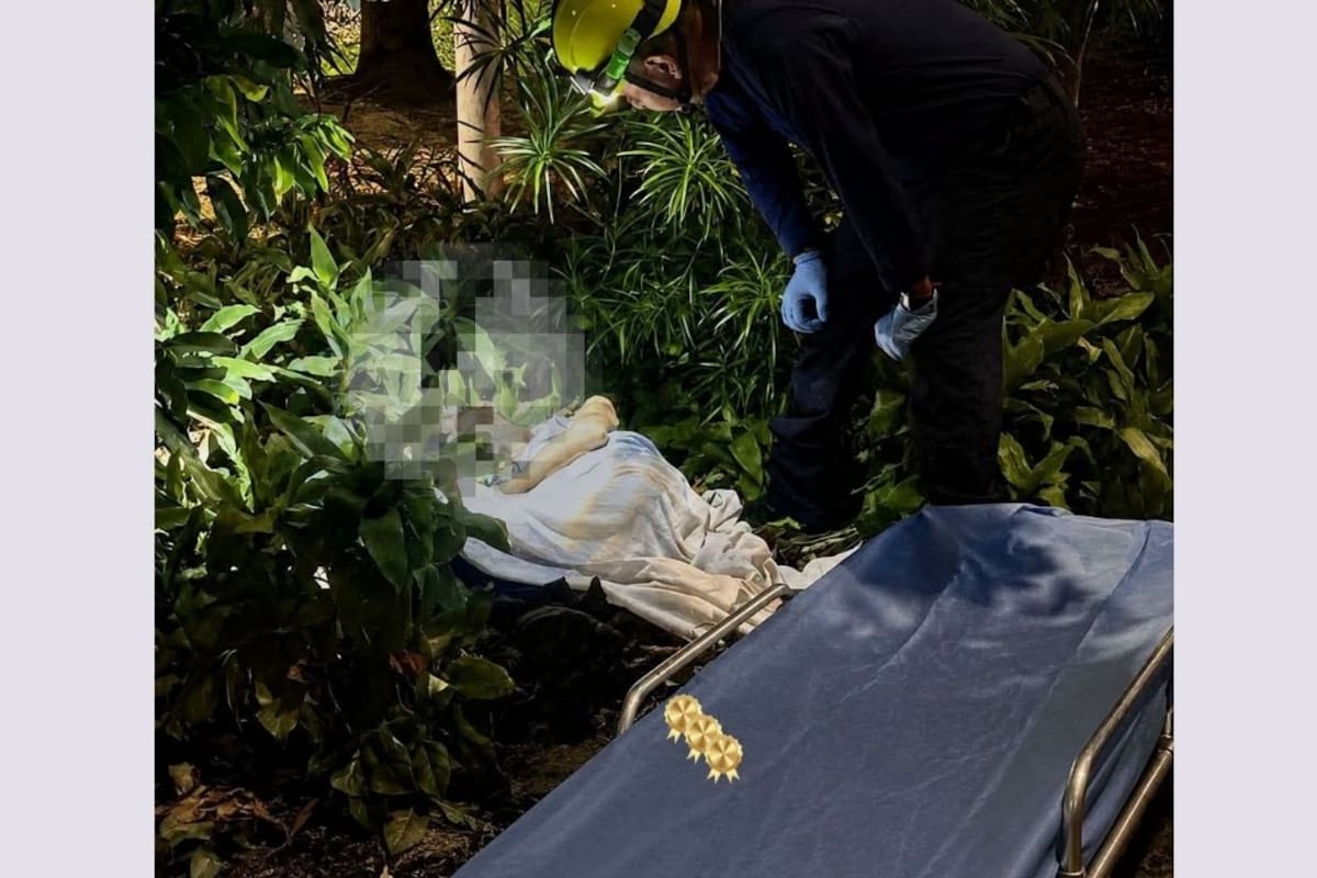 Vecinos auxiliaron a un adulto mayor con cáncer hallado solo en un parque de Palmira. | Foto: Tomada de Video.
