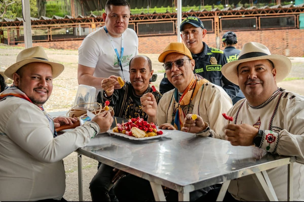 Suministrada/Vanguardia