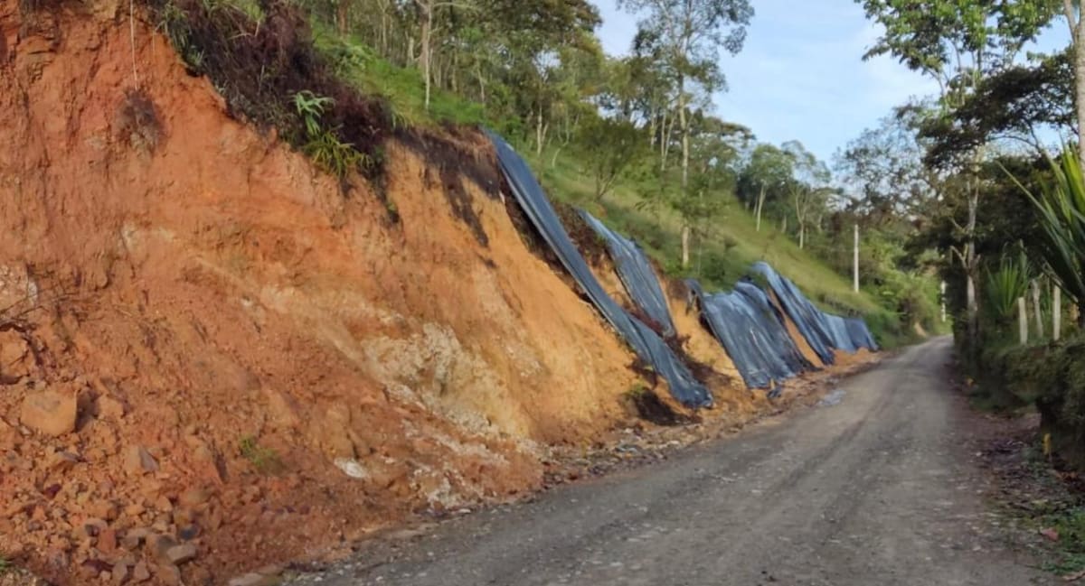 En el proyecto reconocido como la vía Onsamo solo se pavimentarán 8,8 kilómetros.