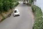 Automóvil atropelló a ciclista en Floridablanca y escapó: video registró el accidente