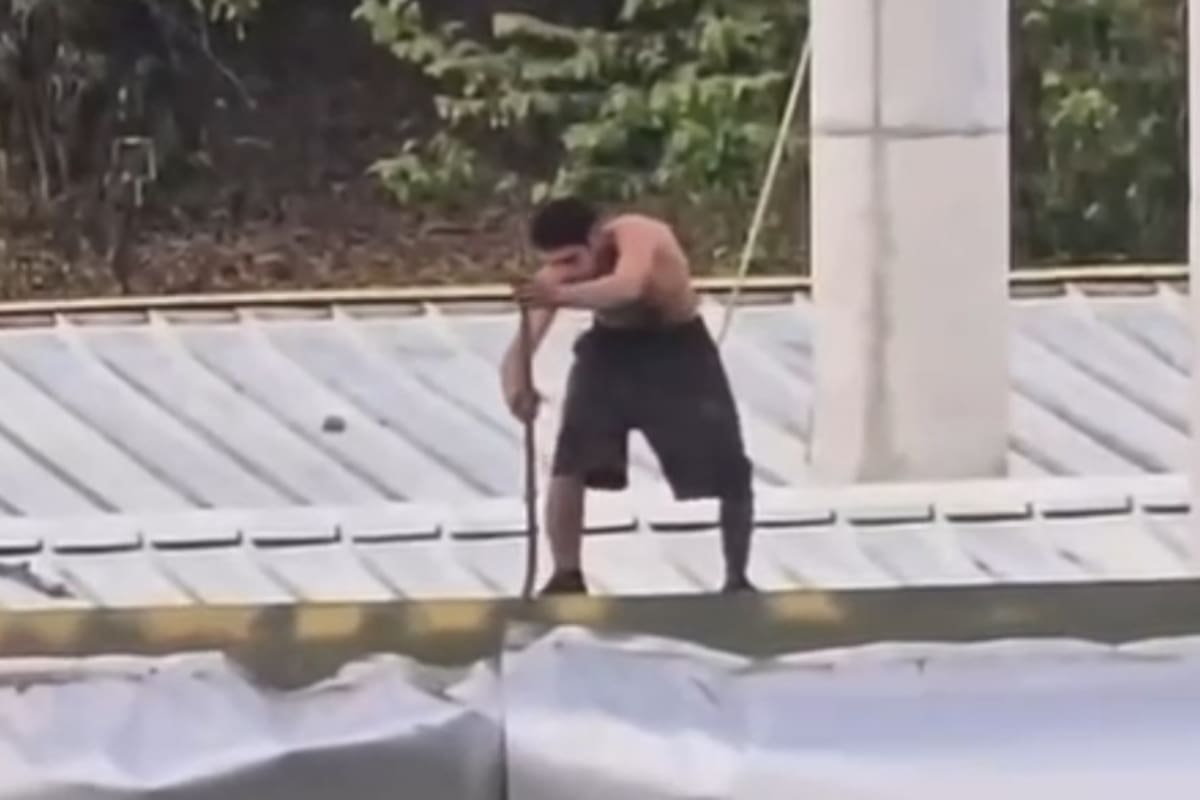 Video captó presunto vandalismo en el Portal de Girón de Metrolínea: hombre habría robado piezas metálicas