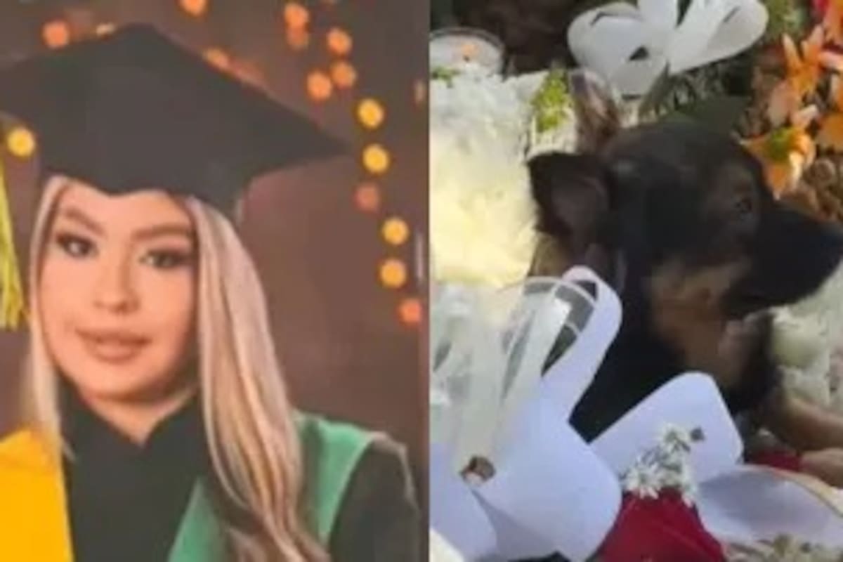 Video: Fiel incluso después de la muerte, el perrito de Mariana Galvis no se mueve de su tumba en Antioquia. Foto: Redes sociales.