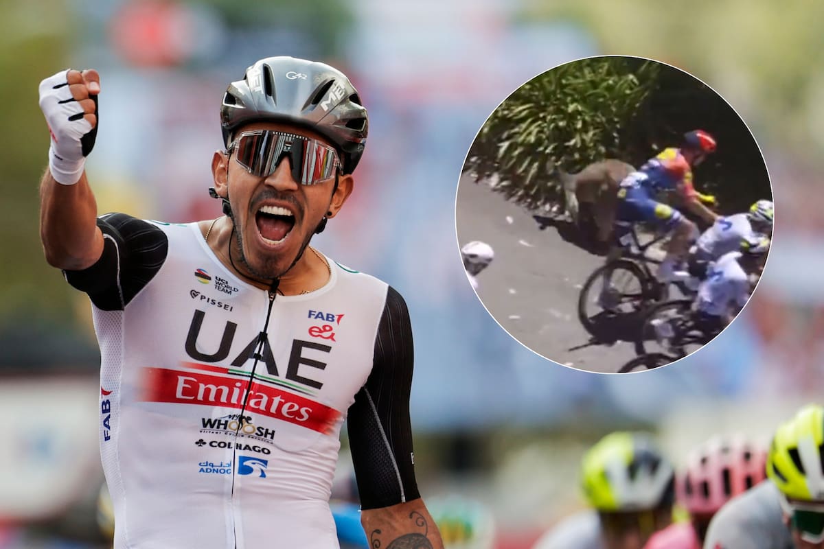 Video: Insólito accidente con un canguro sacude el Tour Down Under y obliga al abandono de Juan Sebastián Molano. Foto: EFE/Redes sociales.