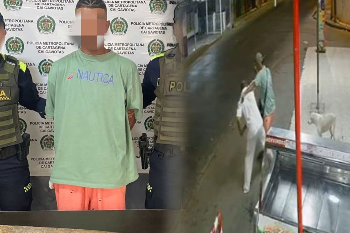Video: ladrón atacó a carnicero con un palo hasta causarle la muerte