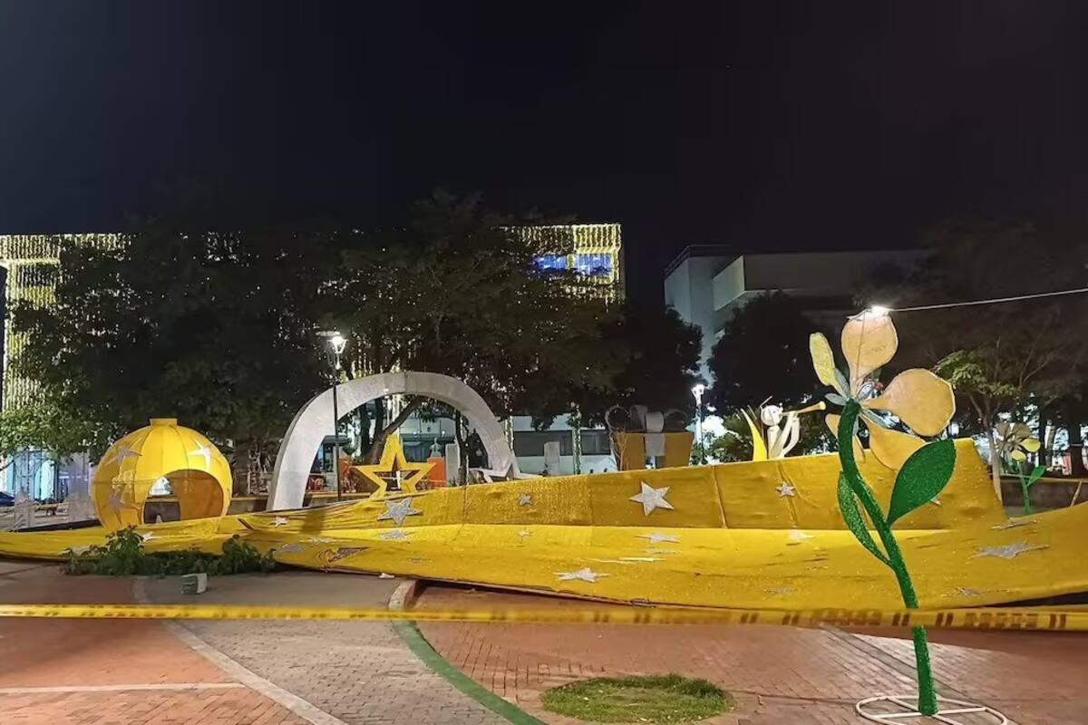 Video: Reacciones de los asistentes al presenciar la caida del árbol de Navidad que acabo con la vida de Policía en Girardot. Foto: Cortesía