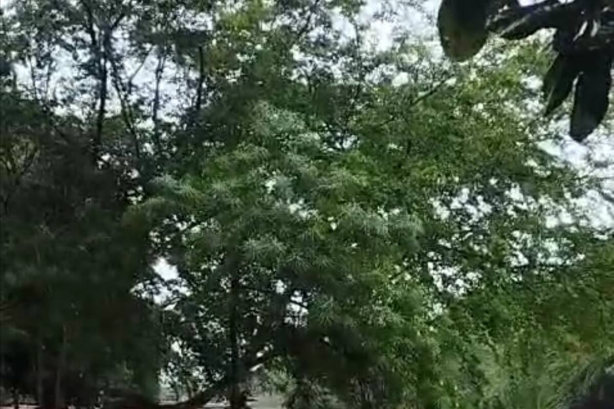 En Girón, habitantes de diversos vecindarios, como El Poblado, igualmente reportaron un preocupante incremento en los niveles del afluente que atraviesa los tres municipios del área metropolitana. (Fotos: Suministradas / VANGUARDIA)