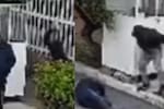Video: Vigilante de 63 años lucha por su vida tras ser atacado a piedra por un ladrón en Bogotá
