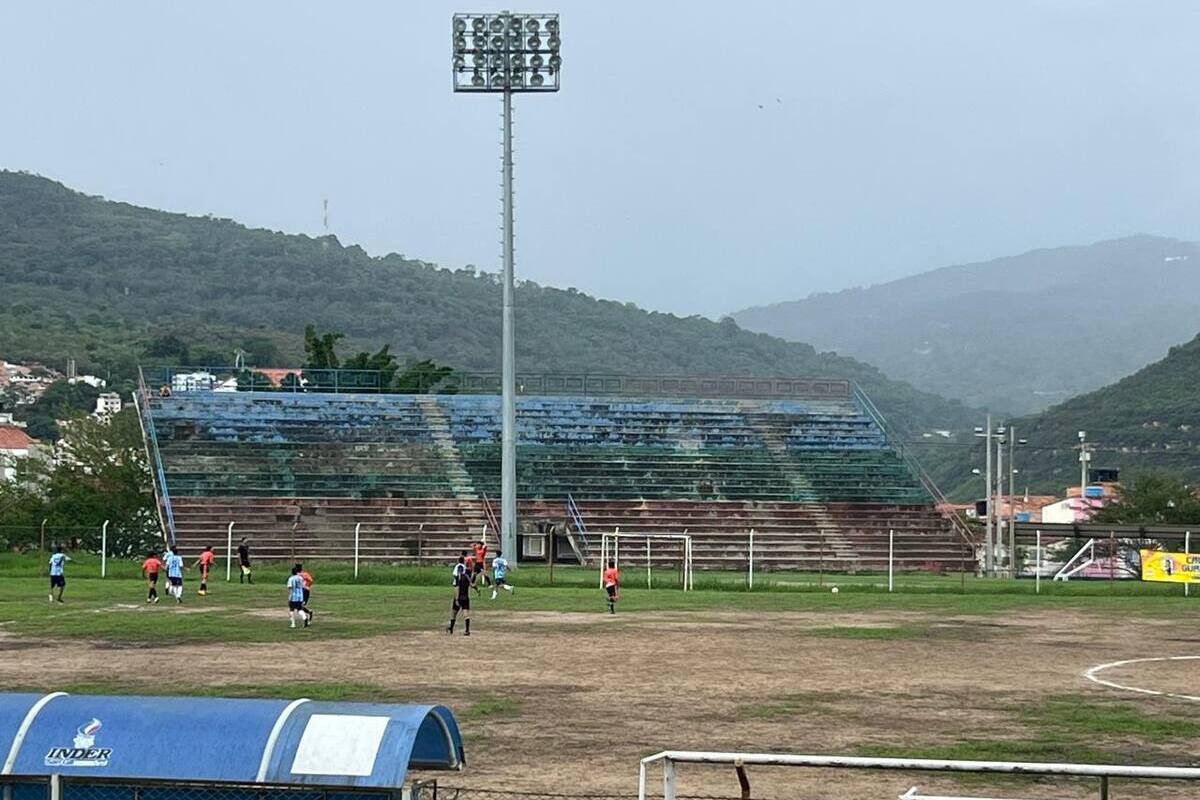 La grama del estadio sería remplazada por material artificial.