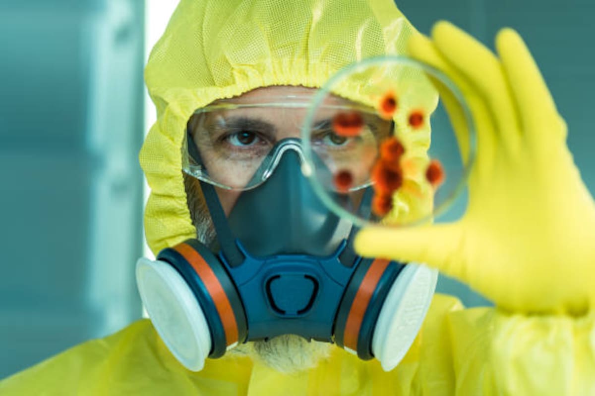 Virus Shamonda: primera muerte humana en Francia enciende las alertas sanitarias en Europa.