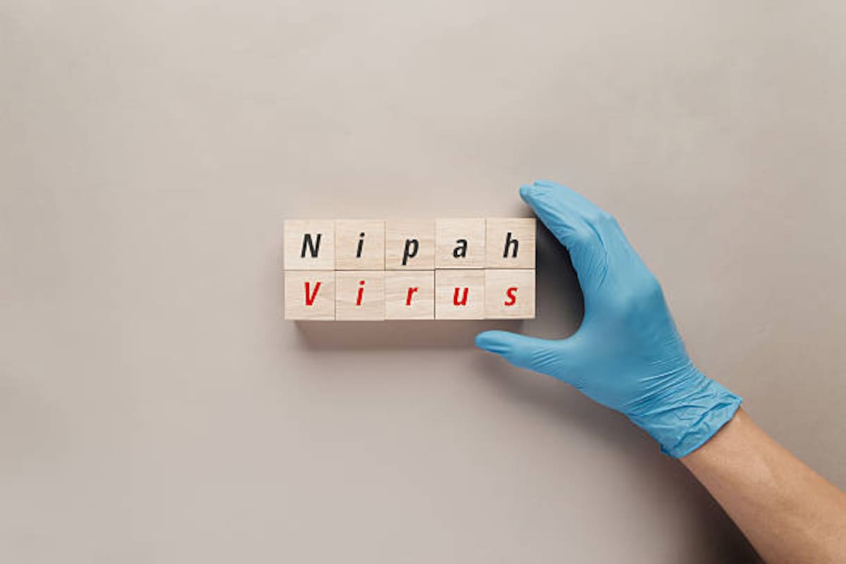 Nipah enciende alarmas: OMS explica si hay riesgo de pandemia.