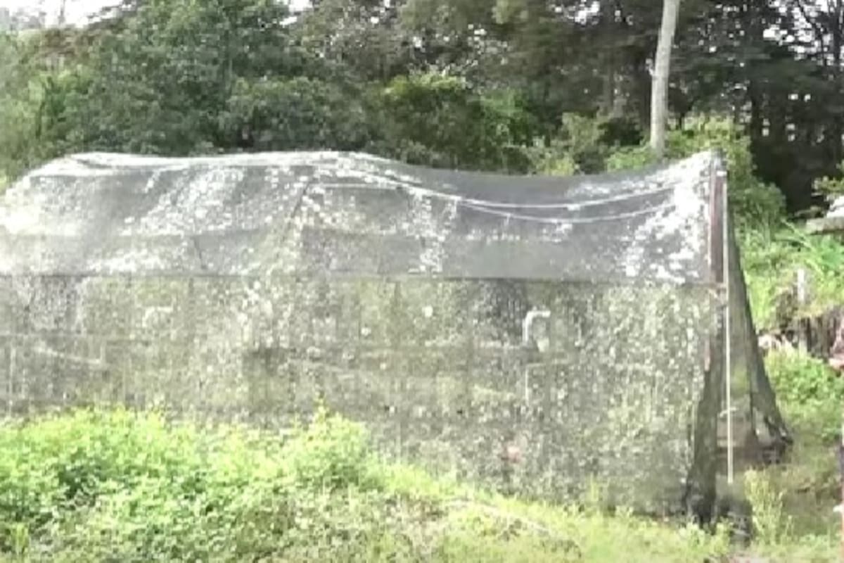 El vivero llevaba varios años sin atención ni inversión.
