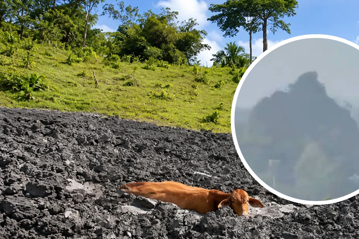 Un volcán de lodo ubicado en la vereda Molinillo, corregimiento de Catalina, en zona rural de San Pedro de Urabá, Antioquia, registró actividad eruptiva durante la mañana de este martes Foto: LaRazon