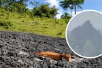 Volcán de lodo hizo erupción en San Pedro de Urabá: Autoridades activaron monitoreo