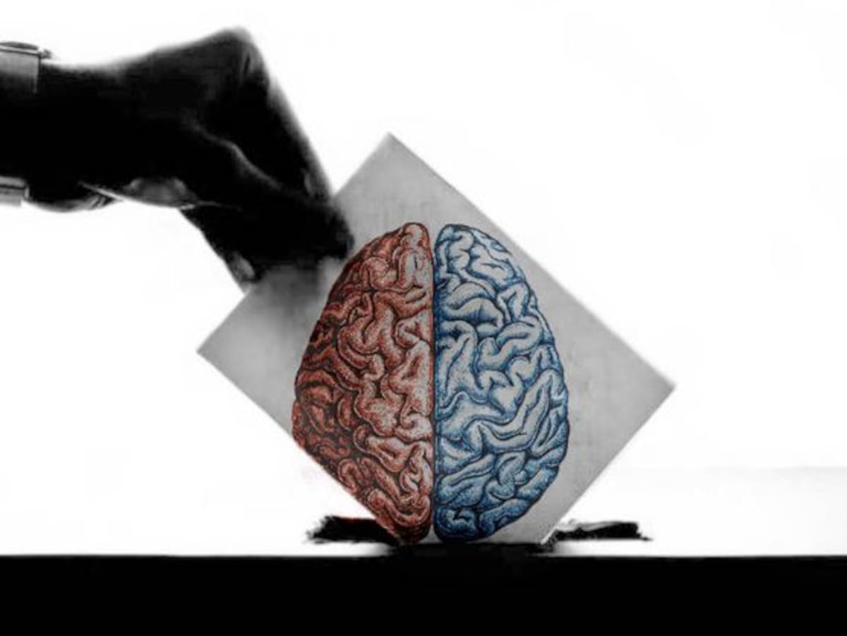 ¿Vota con datos o con el corazón? Descubra cómo el cerebro nos engaña en las elecciones y por qué recordamos más las campañas negativas.