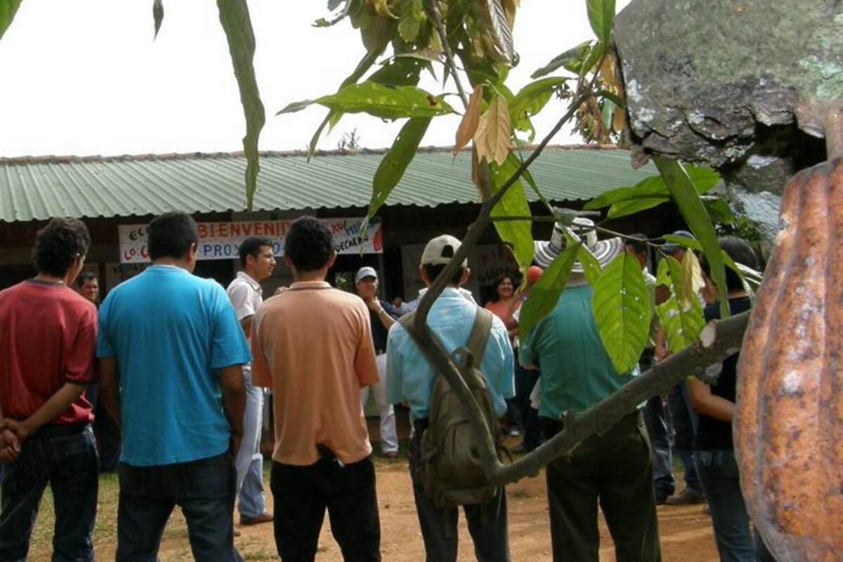 Banagrario “juega fútbol” con créditos asociativos en cacao (Foto: Archivo/VANGUARDIA LIBERAL)