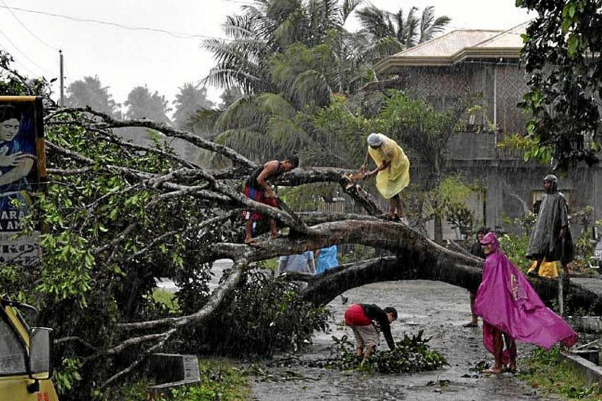 El tifón "Bopha" deja al menos 274 muertos y 218.000 desplazados en Filipinas (Foto: Tomada de Internet/ VANGUARDIA LIBERAL)