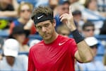 Del Potro tendrá una difícil tarea ante Roddick en el Abierto de EU