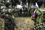 Farc no podrá hacer eventos en la ruta a zonas veredales: Mindefensa