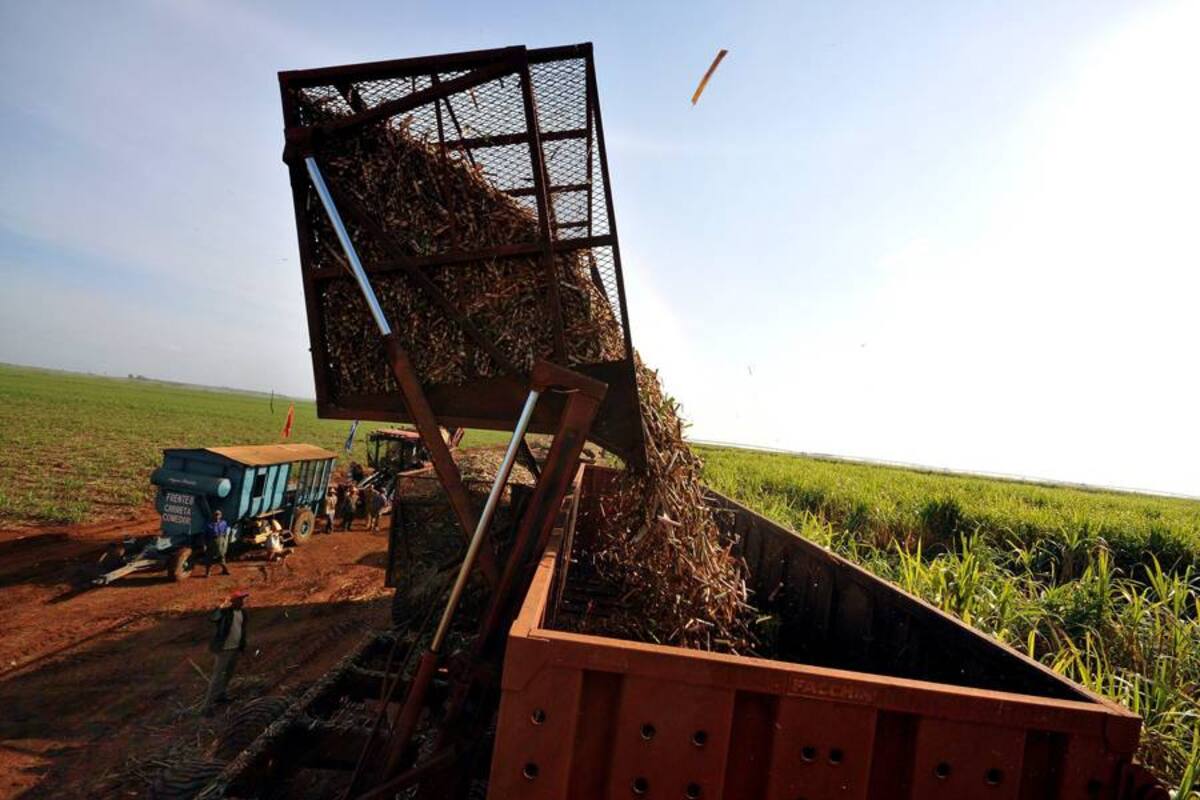 Nueva Zelanda le apuesta al sector agrícola colombiano (Foto: Archivo, VANGUARDIA LIBERAL)