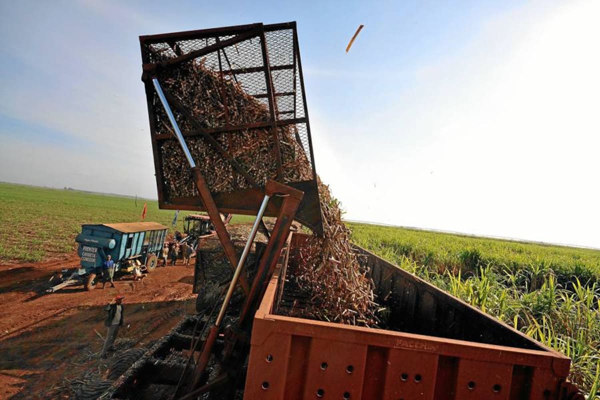 Producción agrícola aumentó cerca de un millón de toneladas (Foto: Archivo/VANGUARDIA LILBERAL)