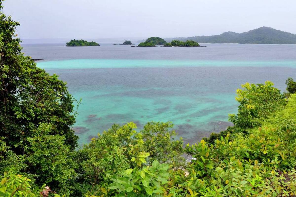 Colombia, Brasil y Perú innovaron con iniciativas a favor de la biodiversidad (Foto: Archivo/VANGUARDIA LIBERAL)