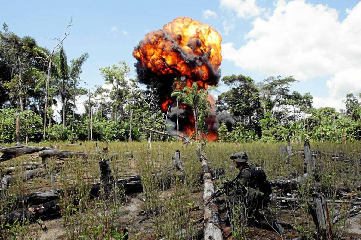 Destruyen cuatro ‘cocinas’ para el procesamiento de cocaína en el Sur de Bolívar (Foto: Archivo/VANGUARDIA LIBERAL)