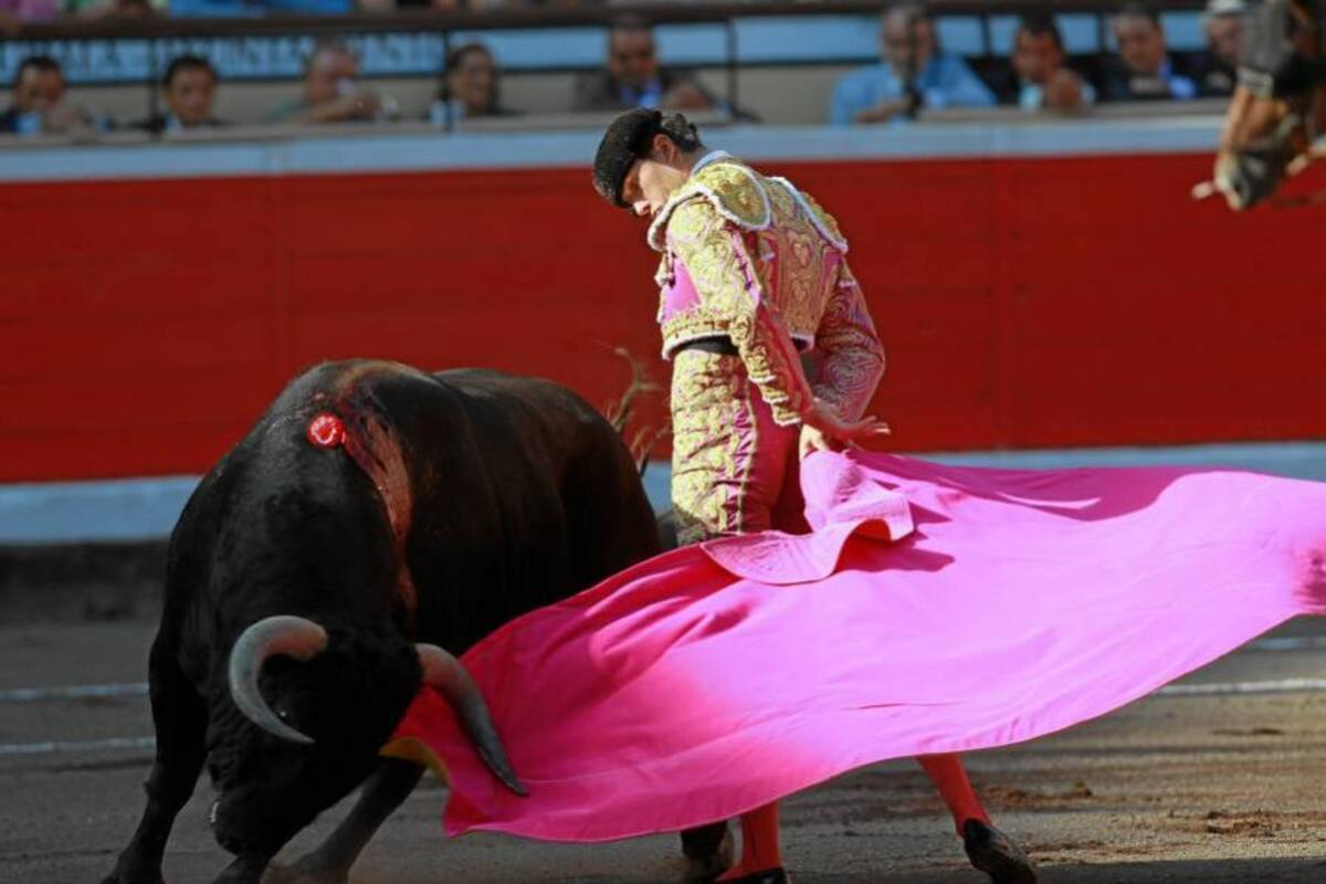 Toreros piden convertir fiesta taurina en patrimonio cultural (Foto: Archivo/VANGUARDIA LIBERAL)