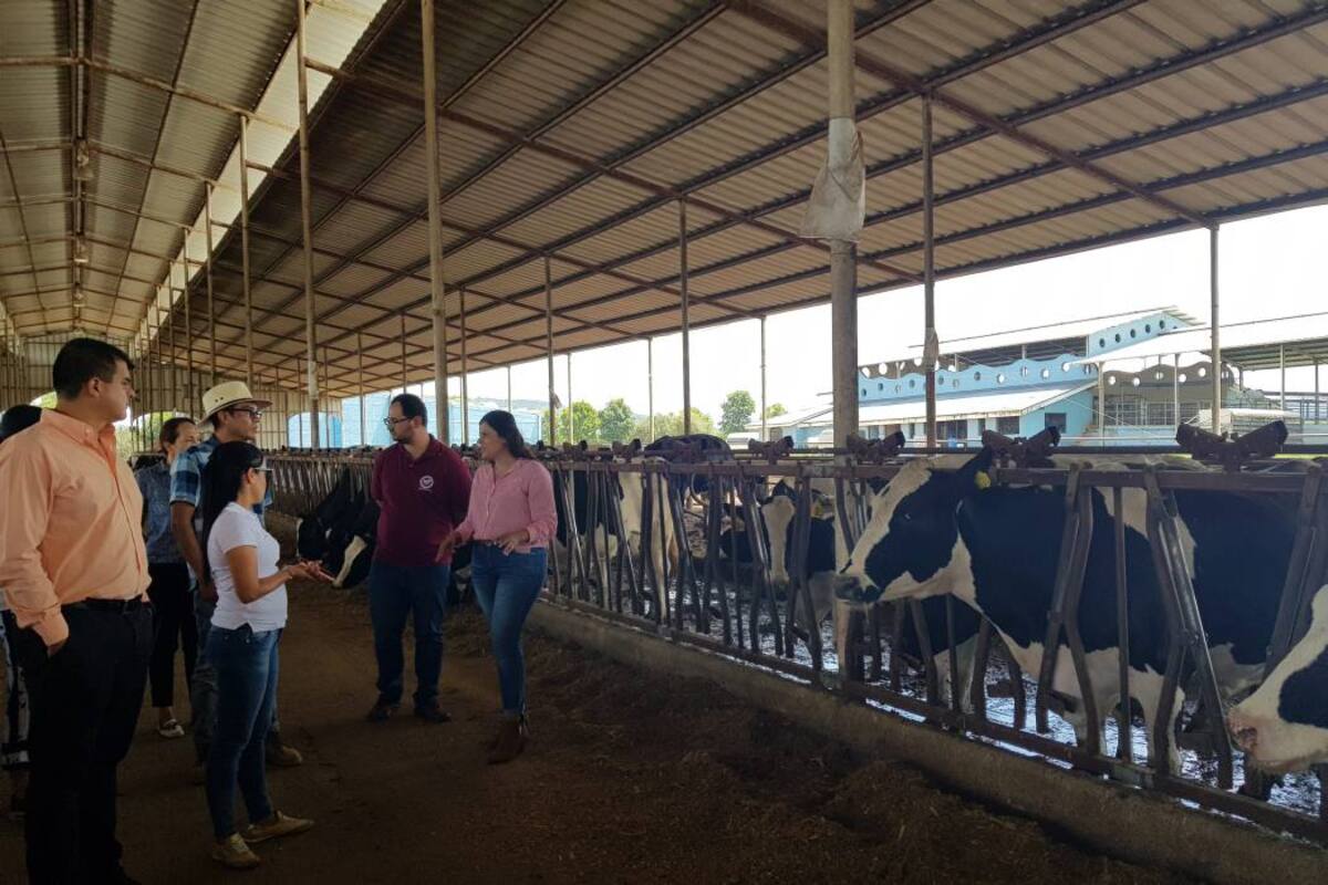 (Foto: Suministrada /Universidad Santo Tomás)