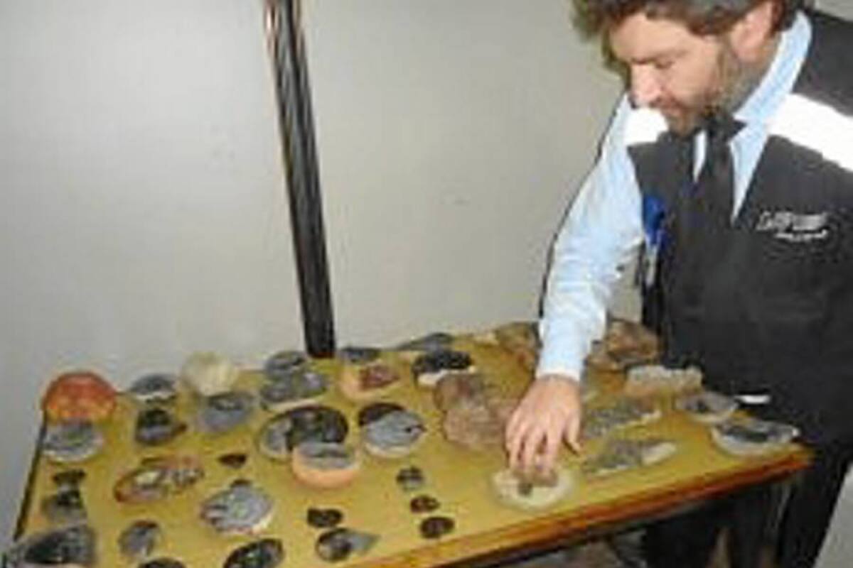 Incautan en Argentina 45 piezas paleontológicas procedentes de Colombia (Foto: Archivo/VANGUARDIA LIBERAL)