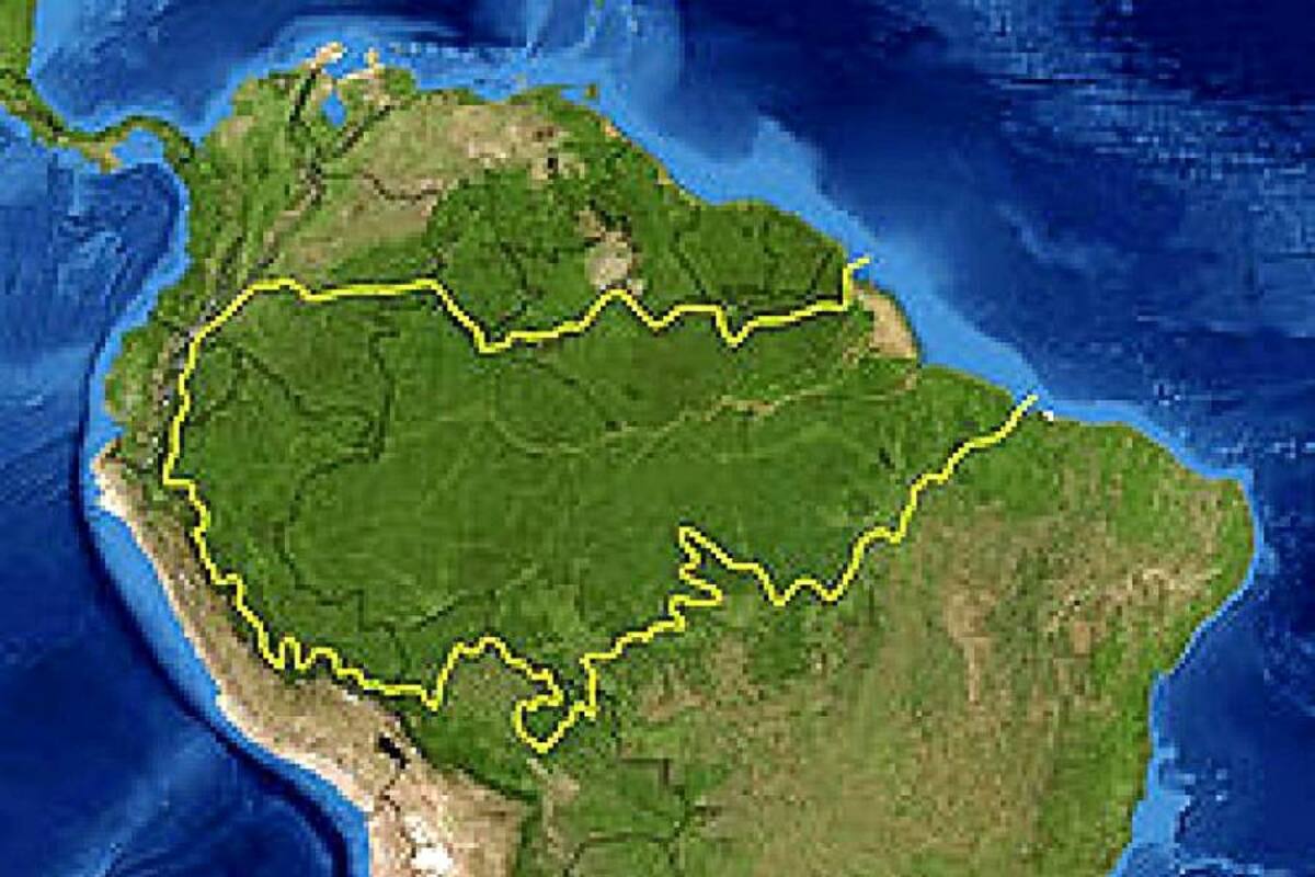La mitad de los brasileños teme que el país sea atacado por la Amazonía. (Foto: Tomada de Internet/Vanguardia Liberal)