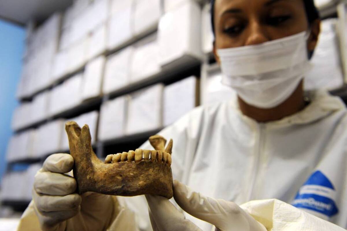 Identificarán restos de más de 4 mil niños en el país (Foto: Archivo/VANGUARDIA LIBERAL)