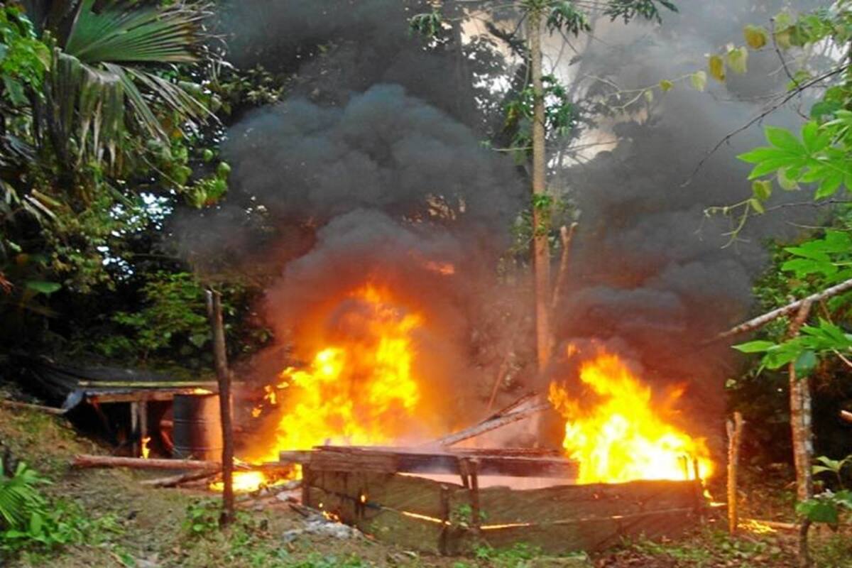 Destruido complejo cocalero en Vélez (Foto: Suministrada Policía de Santander/ VANGUARDIA LIBERAL)